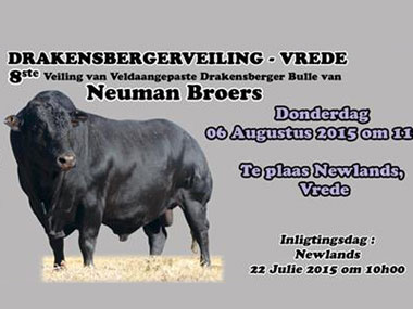 Bull and Ram Sale 