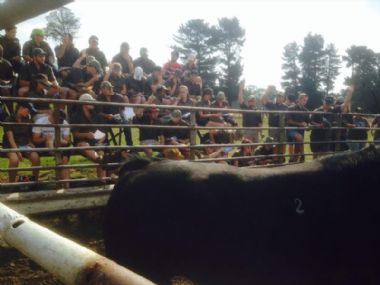  - Tukkies students visit to see how farming with Drakensbergers is done