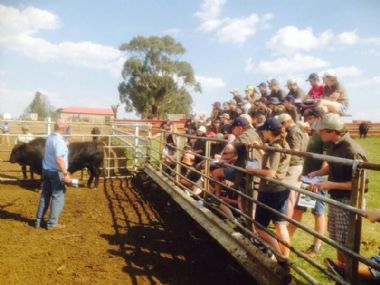  - Tukkies students listen how to farm with Drakensbergers and Merinos